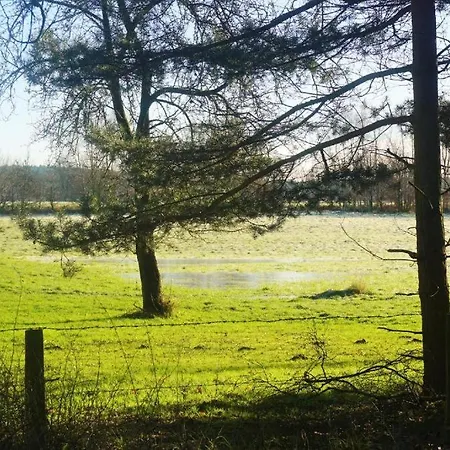 Aparthotel Pharos Seevetal